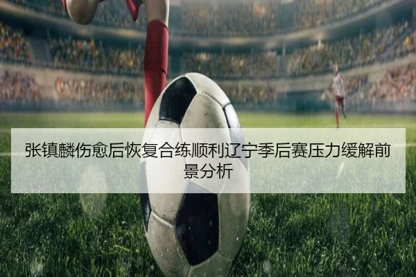 张镇麟伤愈后恢复合练顺利辽宁季后赛压力缓解前景分析